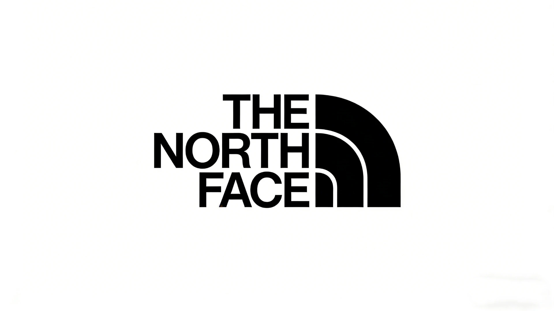 THE NORTH FACE LOGO